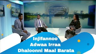 Injifannoo Adwaa Irraa Dhaloonni Maal Barata