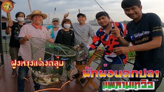 EP#61 แพลานเทวิวกับทีมงานเจอฝูงหางแดงถลุ่ม