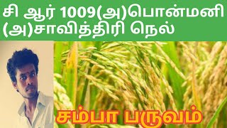 சி ஆர் 1009 நெல் (அ)  பொன்மணி நெல் ரகம் | Tamil |Life is line|