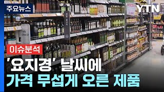 [경제PICK5] '요지경' 날씨에 올리브유·코코아 가격 '껑충' / YTN