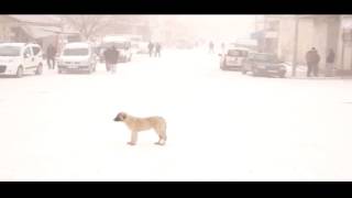 Sincik'te Kar Yağışı Etkili  Olmaya  Başladı