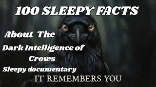 The Dark Intelligence of Crows 🐦⬛ (They Remember Everything)