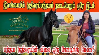 Horse Riding| குதிரை சவாரி| JP vlog🥰