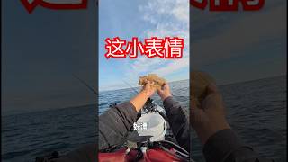 体验墨鱼的暴躁 #cuttlefish #sepia #pesca #fishing #kayakpesca