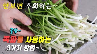 간단하고 맛있는 쪽파 요리 3가지~ 3 kinds of small green onion cooking recipe, korea food recipe~ [강쉪]