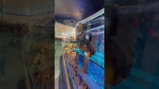 Dubai Aquarium and Underwater Zoo, Dubai Mall