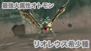 【MHST2】リオレウス希少種の紹介〜最強の火属性オトモン〜