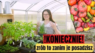 HARTOWANIE ROZSAD - ZRÓB TO ZANIM WSADZISZ SADZONKI. JAK UPRAWIAĆ POMIDORY. UPRAWA WARZYW