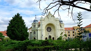 Walking tours in Hódmezővásárhely - 2023