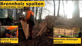 Rotbuche Brennholz spalten und verladen, Dolmar PS420 im Einsatz, VLOG#KW06-2023 Special