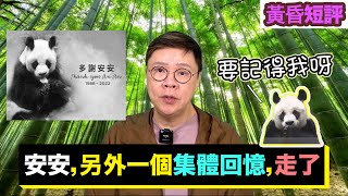 【時事短評】安安，另外一個集體回憶，走了（2022年7月22日）