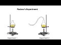 pasteur s experiment