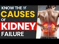 Main Causes of Kidney Failure | Dr Puru Dhawan