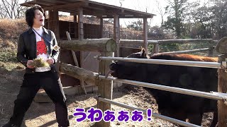 【幻のお蔵入り岡山旅行#1】黒毛和牛vs粗品@ふれあい動物園【音声復活】