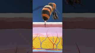 হুল ফুটিয়ে মৌমাছি মারা যায় কেন? Why Honeybees Die After Stinging? #3danimation #DrArifFilms