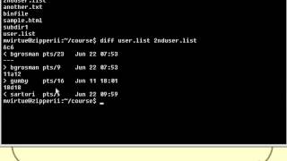 VTC Player   Unix Shell Fundamentals, Comparing Files