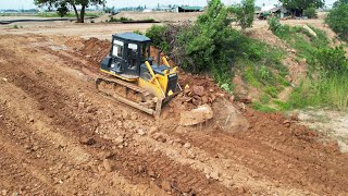 Wonderful New Project! Dozer Shantui SD13 Pushing Soil Levelling Down With Clearing Grass And Trash