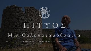 Mouseion | Πιτυός - Μια Θολοποταμούσαινα