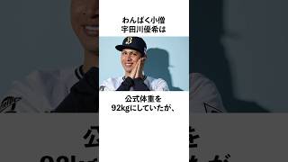 「わんぱく小僧」宇田川優希の食事に関する雑学　#野球  #オリックスバファローズ  #wbc