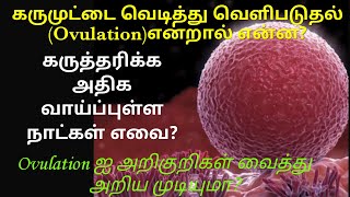 கருமுட்டை வெடிக்கும் நாள்/ovulation/how to calculate ovulation day/symptoms of ovulation/கருமுட்டை