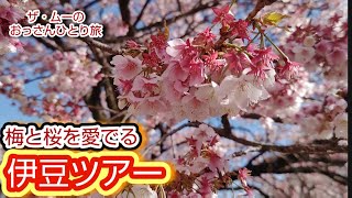 【伊豆ツアー】熱海・河津・下田　ザ・ムーのおっさんひとり旅