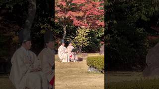 SHINTO Marriage Ceremony in Japan #shinto #nijocastle #marriage #happymarriage