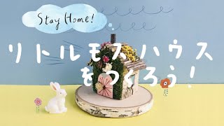 STAY HOME ・ 箱でつくる小さなおうち「リトルモスハウス」 for SAYEGUSA