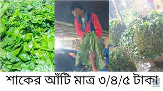 শাকের পাইকারি বাজারে শাকের দাম সস্তা | daily bazar| hatbazar | vegetable prices | ২৭ ডিসেম্বর ২০২৪