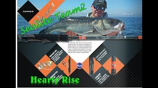 Canne Hearty Rise Sealite team2 15/80g