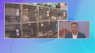 Friendship APL of Lorain County rescues 102 animals in the past week