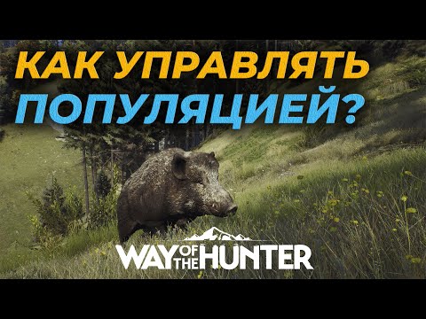 [ГАЙД] КАК УПРАВЛЯТЬ ПОПУЛЯЦИЕЙ И ВЫРАСТИТЬ ТОПОВЫЙ ТРОФЕЙ Way of the Hunter