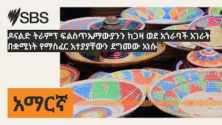 ዶናልድ ትራምፕ ፍልስጥኤማውያንን ከጋዛ ወደ አጎራባች አገራት በቋሚነት የማስፈር አተያያቸውን ደግመው አነሱ | SBS Amharic - ኤስ.ቢ.ኤስ አማርኛ