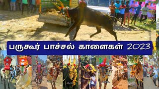 பருகூர் சிங்கார வீதியை பதம் பார்த்த பாச்சல் காளைகள் 2023 |  Top Bulls 2023   #bargur #eruthukattu