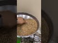 Sesame Seed Pressing Machine - Sesame Oil Making Machine - Video 2