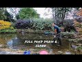 Full pond drain & clean