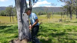 Dowsing an Earth Energy Line