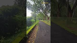 Land for sale 2.80 acre Puthiruthi Thrissur Dt 9388890009