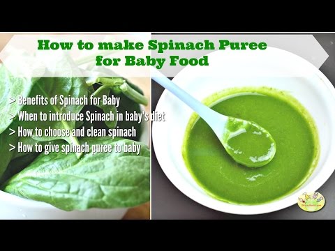 How to make spinach puree for baby| Benefits of Spinach for Baby (9 month+) How to make spinach puree for baby| Benefits of Spinach for Baby (9 month+)
