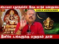 விநாயகர் சதுர்த்தியில் இதை மட்டும் பண்ணுங்க இனிமே உங்களுக்கு ஏறுமுகம் தான் | Shelvi Astrologer