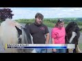 Equine therapy helps local veteran