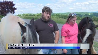 Equine therapy helps local veteran