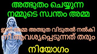 നിന്റെ കണ്ണീർ തുടയ്ക്കാൻ അത്ഭുതങ്ങളുടെ അമ്മ ഇന്ന് നിന്റെ അടുത്ത് വരും