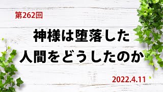 【救い】神様は堕落した人間をどうしたのか：ローマ12章