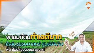 ตลาดที่ดิน พาชม : ที่ดินทำเลดี ใกล้ ม.ธรรมศาสตร์ศูนย์ลำปาง