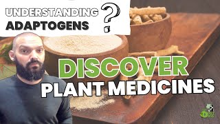 Stress And Anxiety Discover Plant Medicines AKA Adaptogens