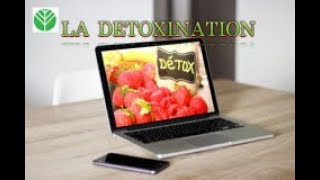 LA DETOXINATION