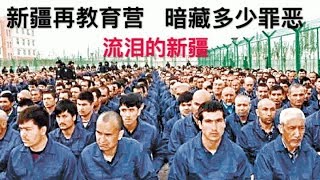 被摘零件的，除了大学生和法轮功，还有新疆人！再教育营发生了什么？