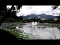 연화지 연꽃 그리고 분수 lotus pond lotus flower and fountain