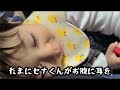 セナくんがお兄ちゃんになります！ 【1 year and 3 months】 pregnant with second child！