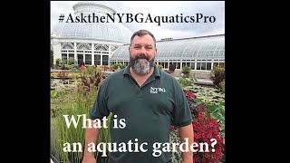 #AskTheNYBGAquaticsPro: What is an Aquatic Garden?